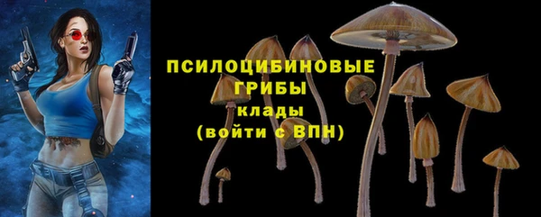 индика Абдулино