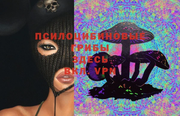 прущий лед Новозыбков