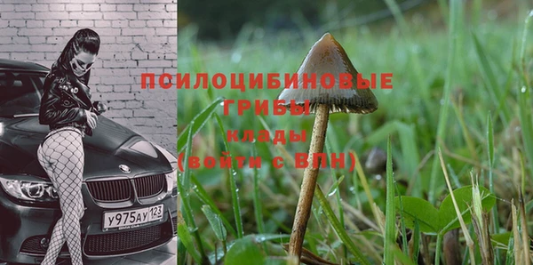 индика Абдулино