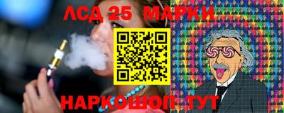 шишки Донской
