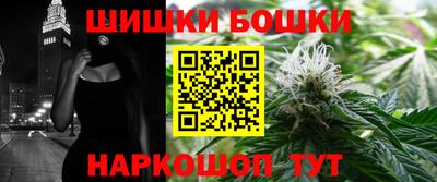 СК Дубна
