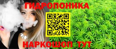 винт Донецк