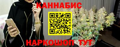шишки Донской