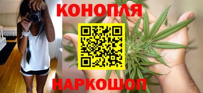 СК Дубна