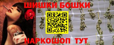 СК Дубна