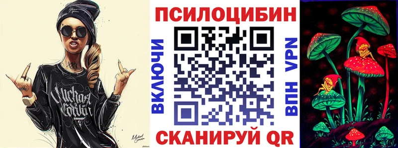 где купить   Воронеж  Псилоцибиновые грибы мицелий 
