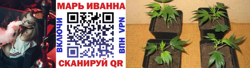 Марихуана марихуана Воронеж