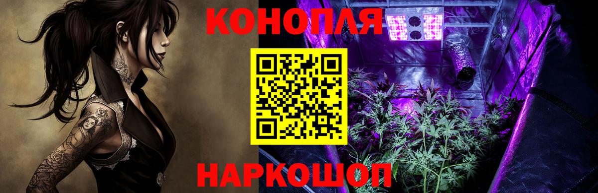 Канабис ГИДРОПОН  Бошки Шишки OG Kush  Каннабис VHQ  Воронеж  Вход с VPN 